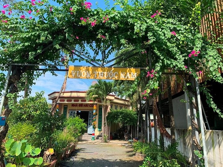 Những tour xe đạp đáng trải nghiệm cho du khách nước ngoài tại TP.HCM