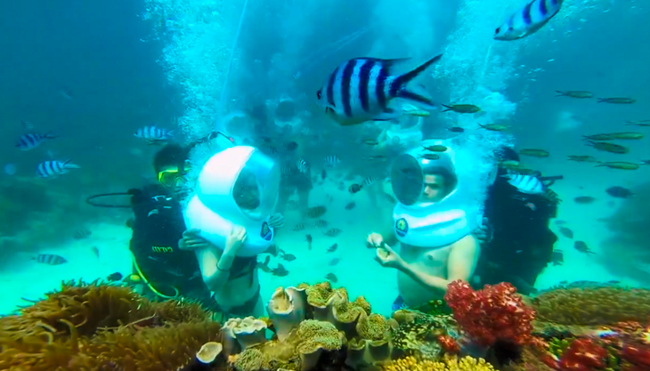 Độc đáo cầu hôn dưới đáy biển ở Phú Quốc