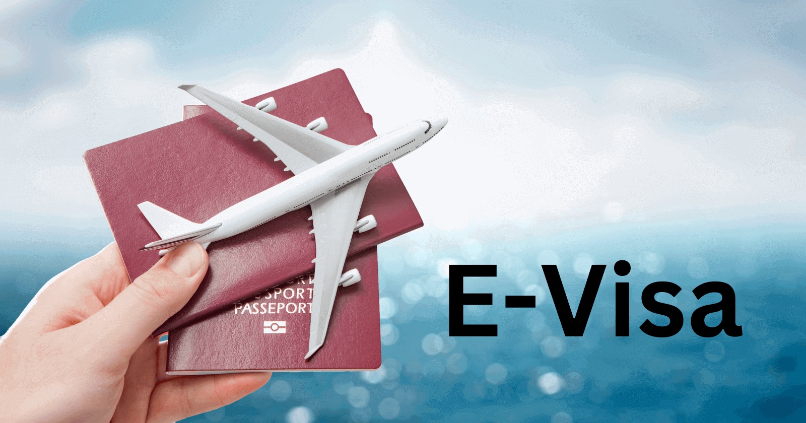 Thủ tục cấp thị thực điện tử (E-Visa) năm 2024