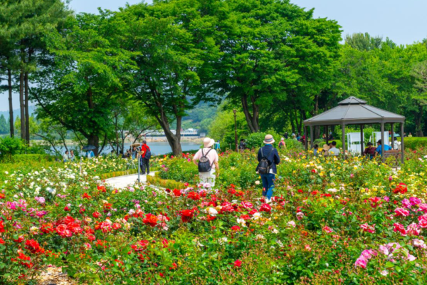 du-lich-han-quoc-thang-5-3