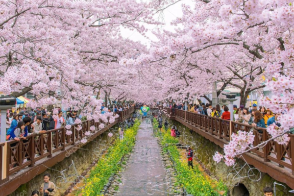 du-lich-han-quoc-thang-5-4