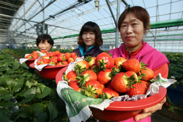 du-lich-han-quoc-thang-5-8