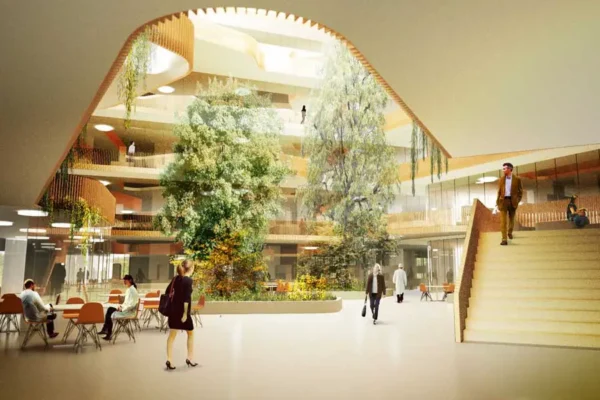 hoc-phi-dai-hoc-hang-dau-bac-au